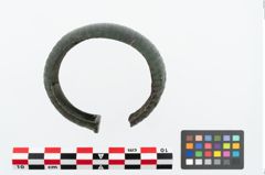 Foto von Bronzemelonenarmreif (NHMW-PRAE-025388)